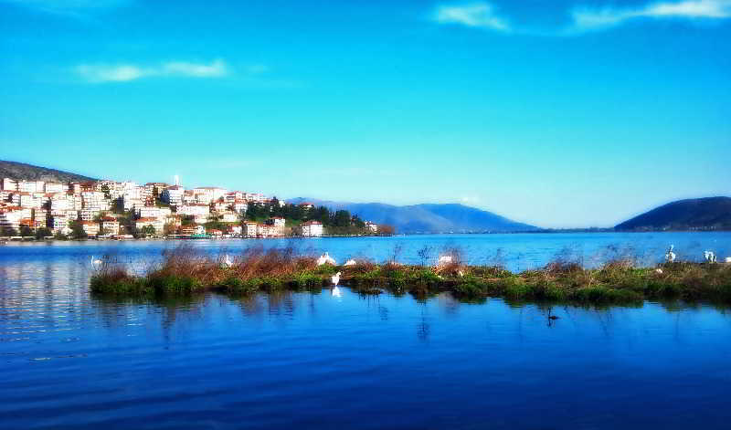 Afkos Grammos Resort Kastoria Exterior photo